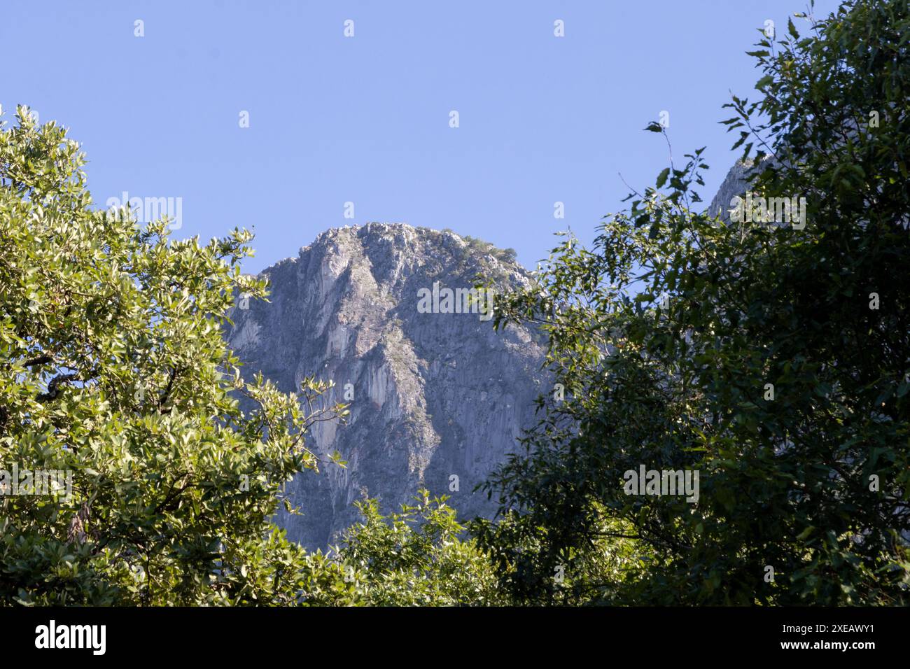 Paesaggio della montagna più alta di Monterrey, chiamato Chipinque. Fa parte della Sierra madre Oriental. Foto Stock