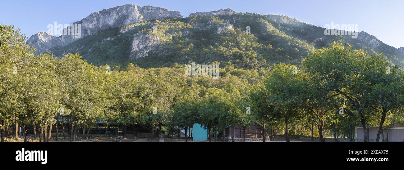 Vista panoramica sul monte del Parco Nazionale di Chipinque. Foto Stock