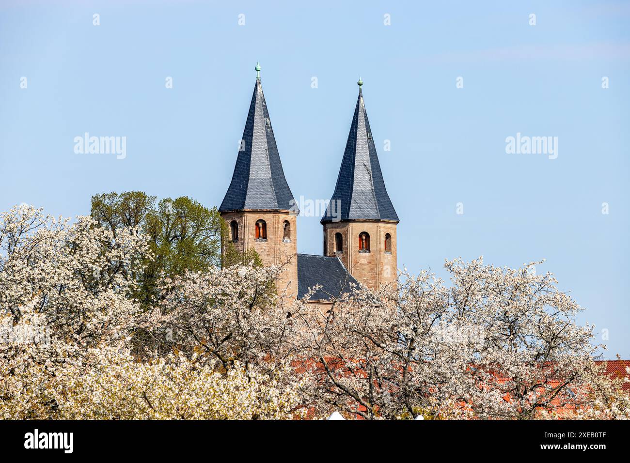 Monastero di DrÃ¼beck Harz in primavera Foto Stock