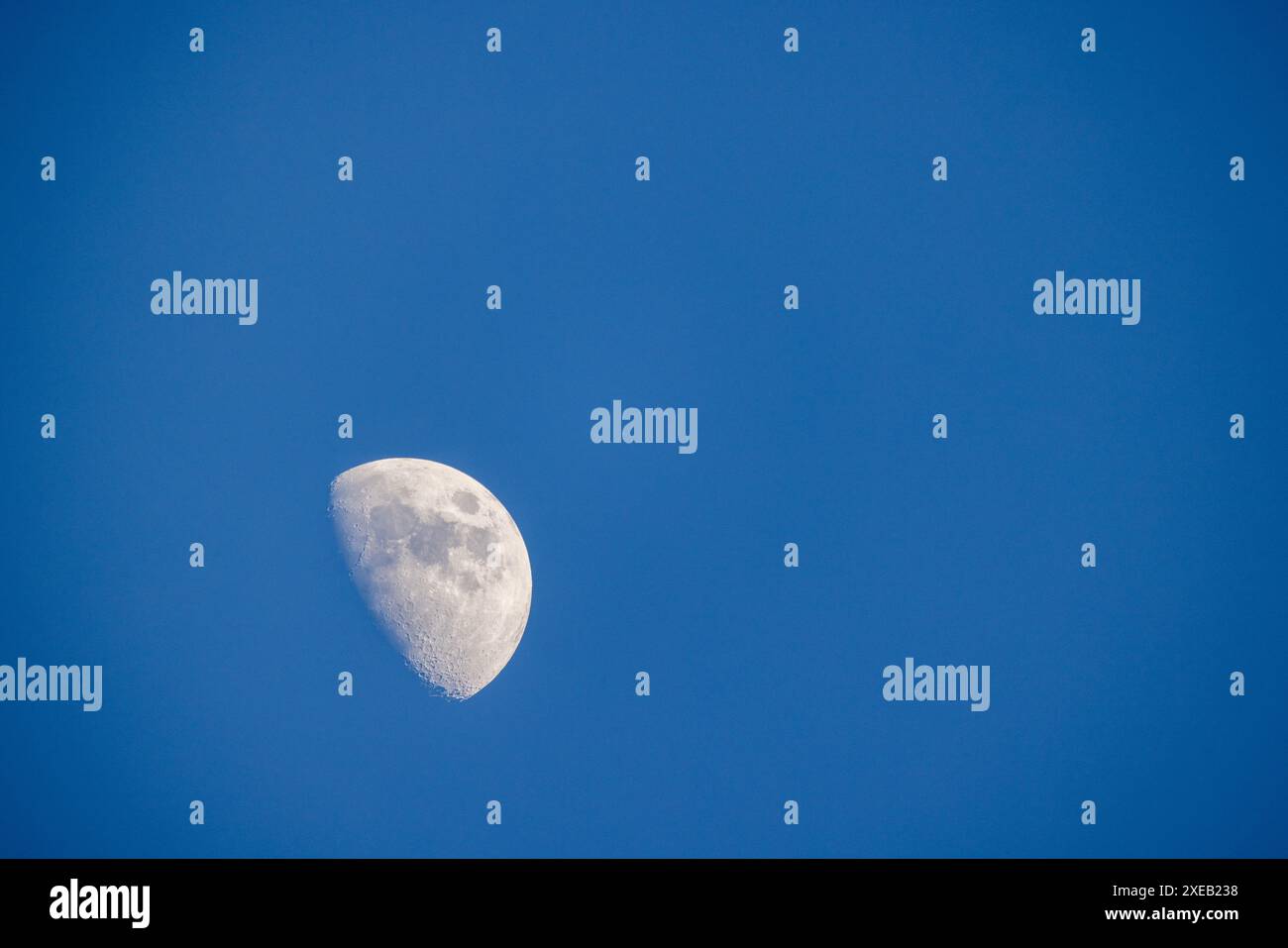 Primo quarto di Luna nel cielo diurno Foto Stock
