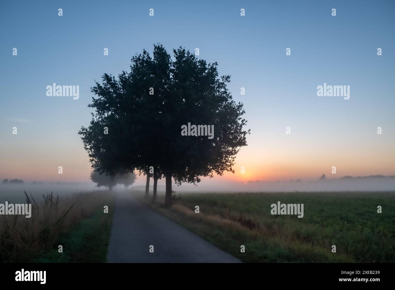 Il dolce abbraccio di Misty Morning Foto Stock