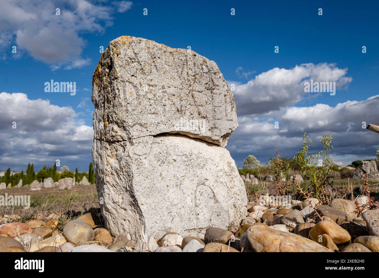 Stele funeraria Vacceos Foto Stock