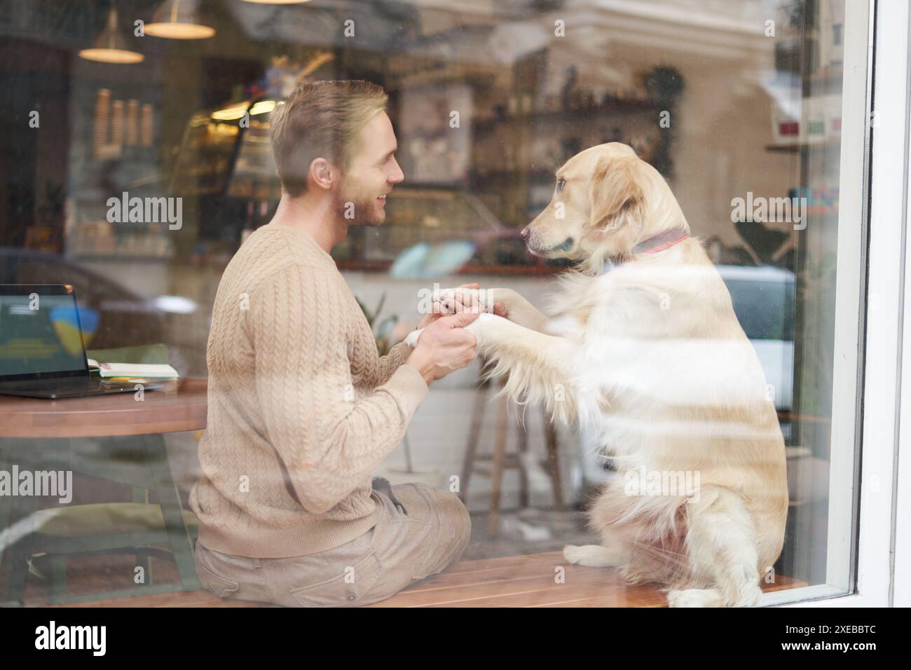Ristoranti o luoghi pubblici in cui sono ammessi gli animali domestici, cani guida, animali domestici da compagnia. Shot all'aperto di una vetrina da caffe' dove una visita con golde Foto Stock