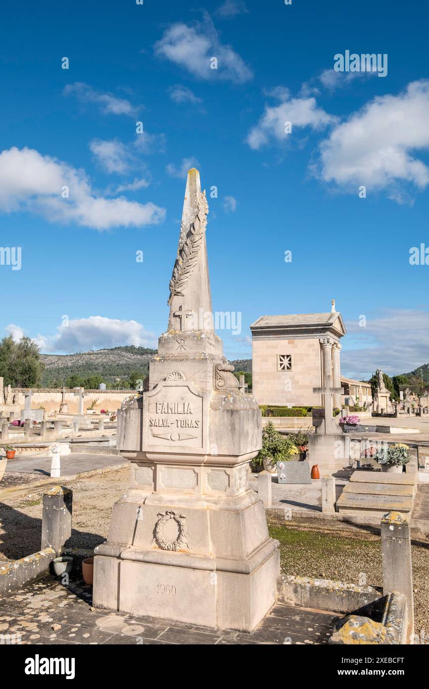 Ramo di Laurel sul simbolo egiziano di un obelisco Foto Stock