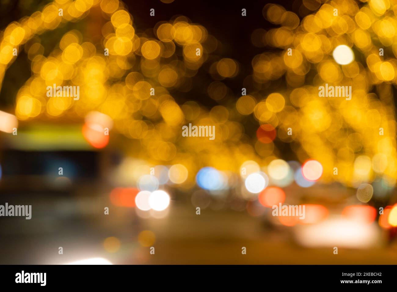 Alberi con illuminazione natalizia Foto Stock