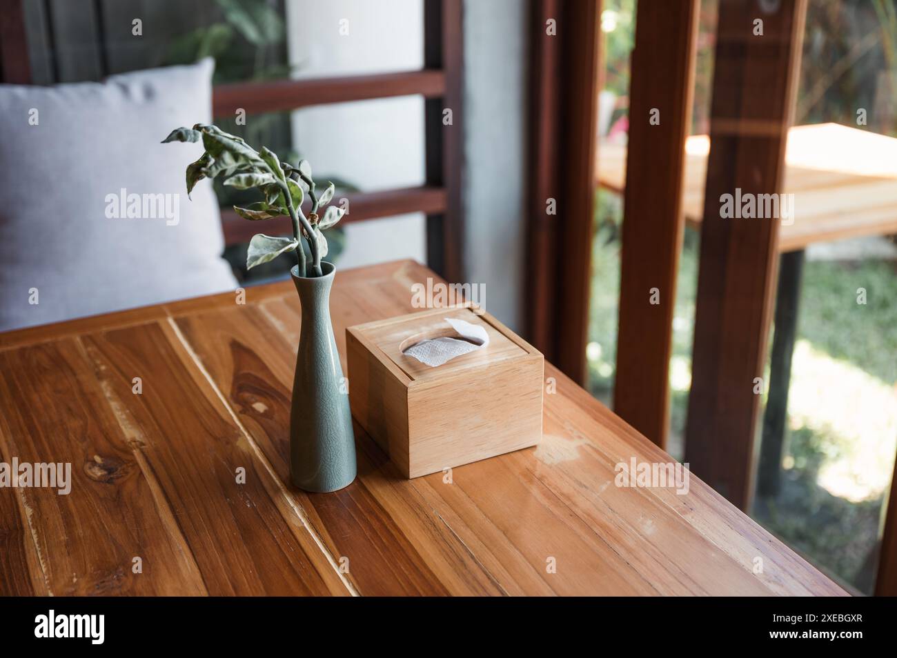 Scatola in legno con pianta in vaso in ceramica su tavolo in legno nel soggiorno Foto Stock