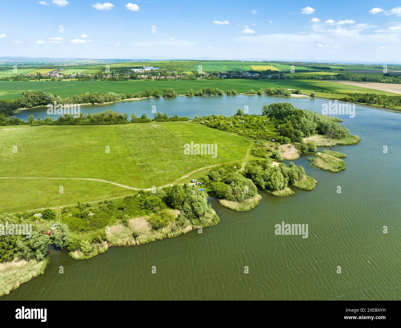 Lago con prato verde e foresta dal drone Foto Stock