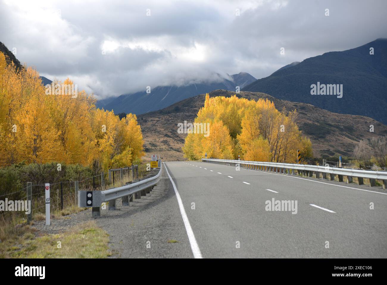 Fogliame colorato sugli alberi vicino al Cass Bridge sulla SH 73, South Island, nuova Zelanda nell'autunno 2023 Foto Stock