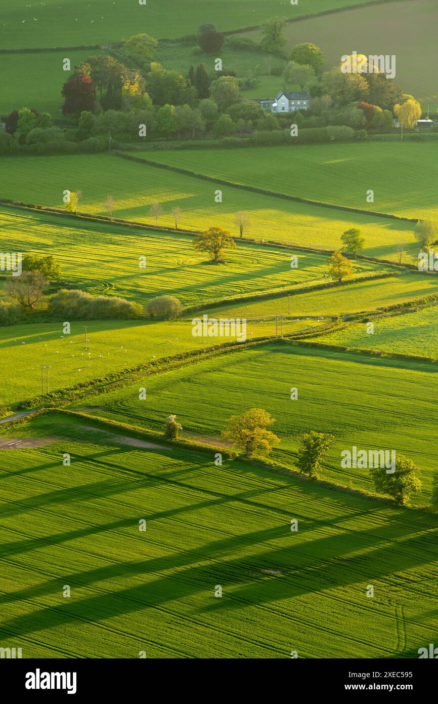 Lussureggianti terreni agricoli nel Brecon Beacons National Park, Powys, Galles. Primavera (maggio) 2019. Foto Stock