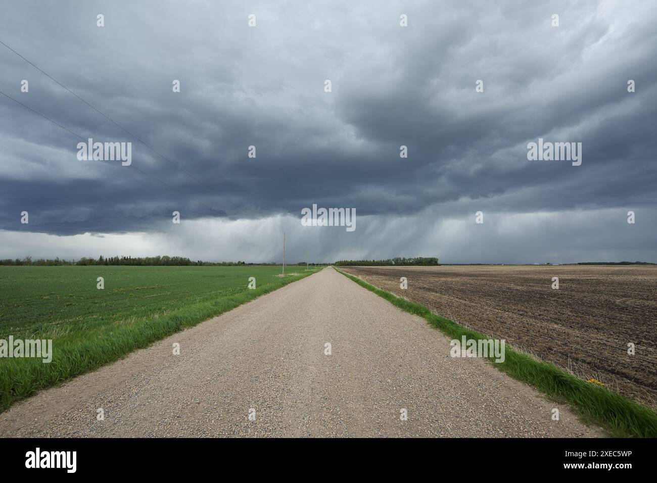 In rapido mutamento del tempo in Alberta, Canada. Foto Stock