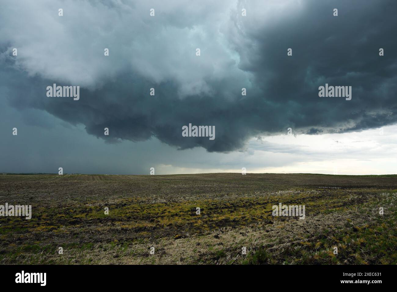 Nuvola di parete rotante di un tornado in via di sviluppo in Alberta, Canada. Foto Stock