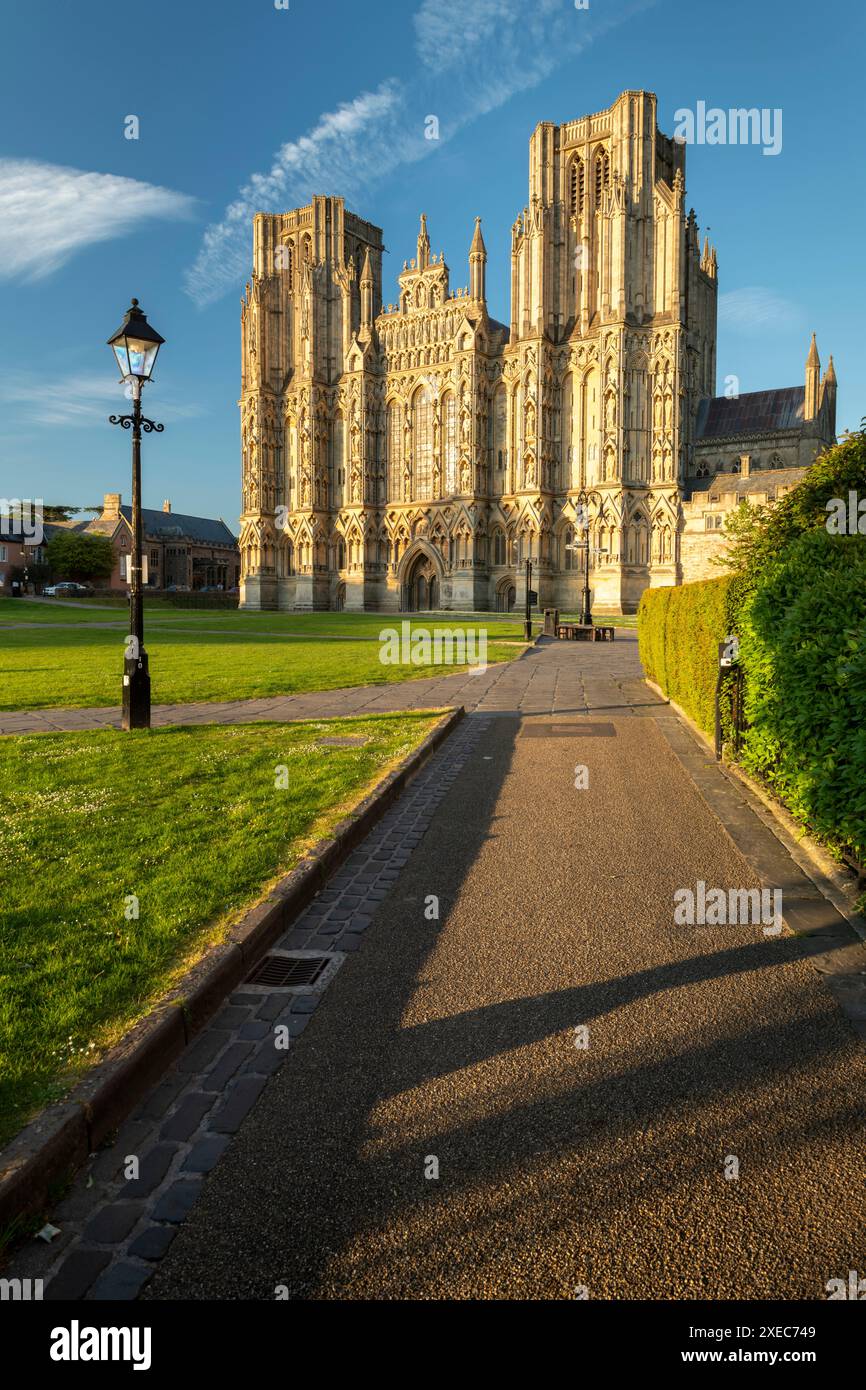 Cattedrale di Wells alla luce del sole serale, Wells, Somerset, Inghilterra. Primavera (maggio) 2019. Foto Stock