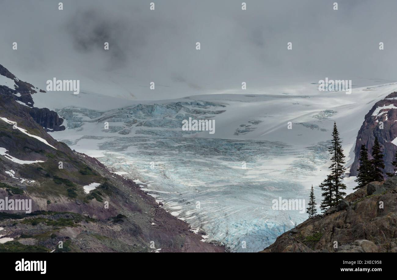 Il ghiacciaio Salmon si trova nella provincia canadese della Columbia Britannica e ha la sua sorgente nelle Boundary Ranges, un sub-moun Foto Stock