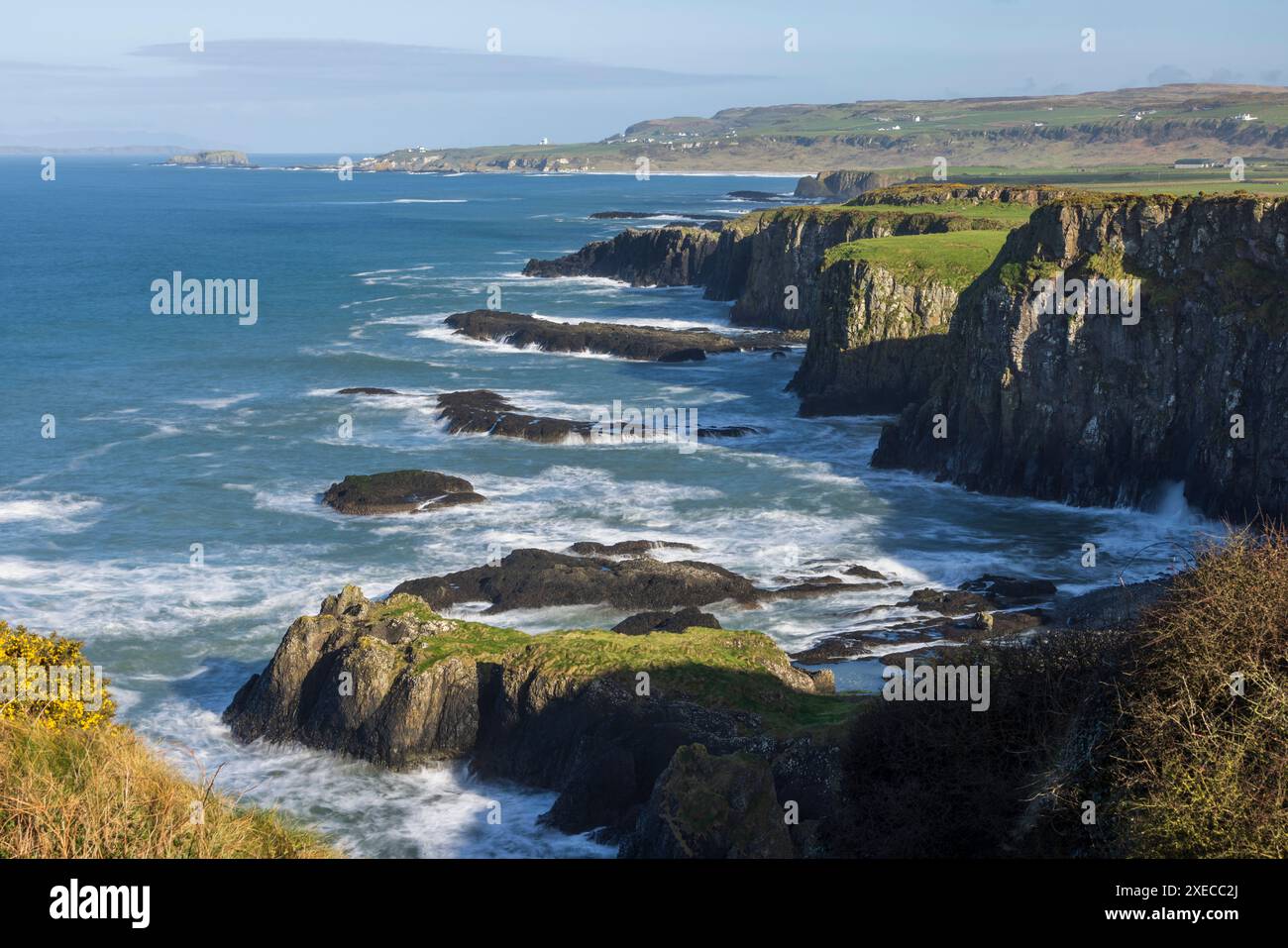 Spettacolare costa a Dunseverick sulla Causeway Coast, contea di Antrim, Irlanda del Nord, Regno Unito. Primavera (marzo) 2024. Foto Stock