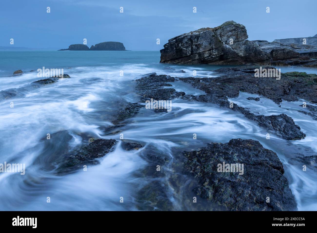 Sheep Island dalle coste rocciose di Ballintoy sulla Causeway Coast, Contea di Antrim, Irlanda del Nord. Primavera (marzo) 2024. Foto Stock