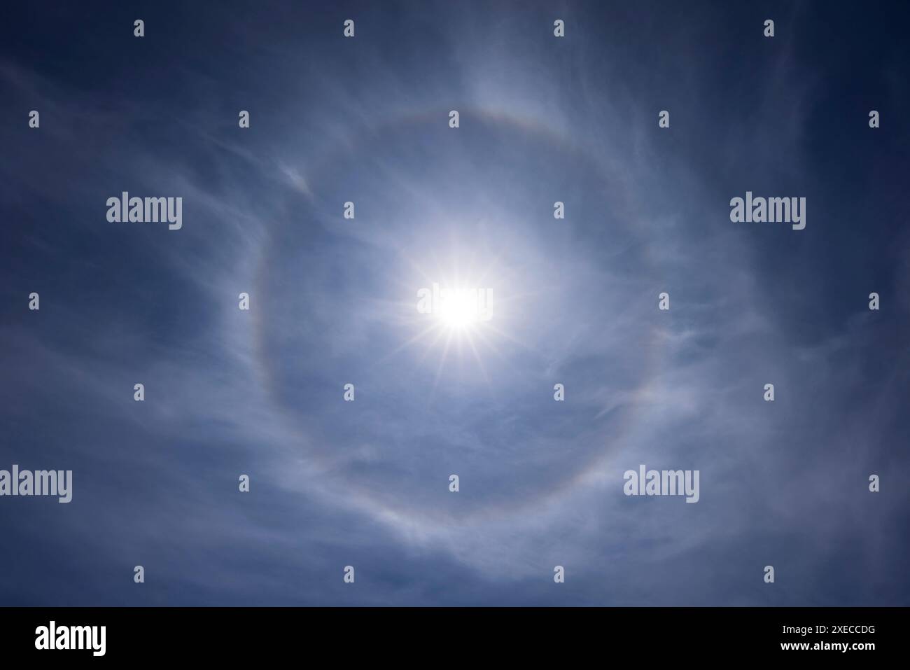 Un fenomeno ottico noto come alone di 22°, noto anche come alone di sole, in un pomeriggio di primavera soleggiato, Devon, Inghilterra. Primavera (maggio) 2024. Foto Stock