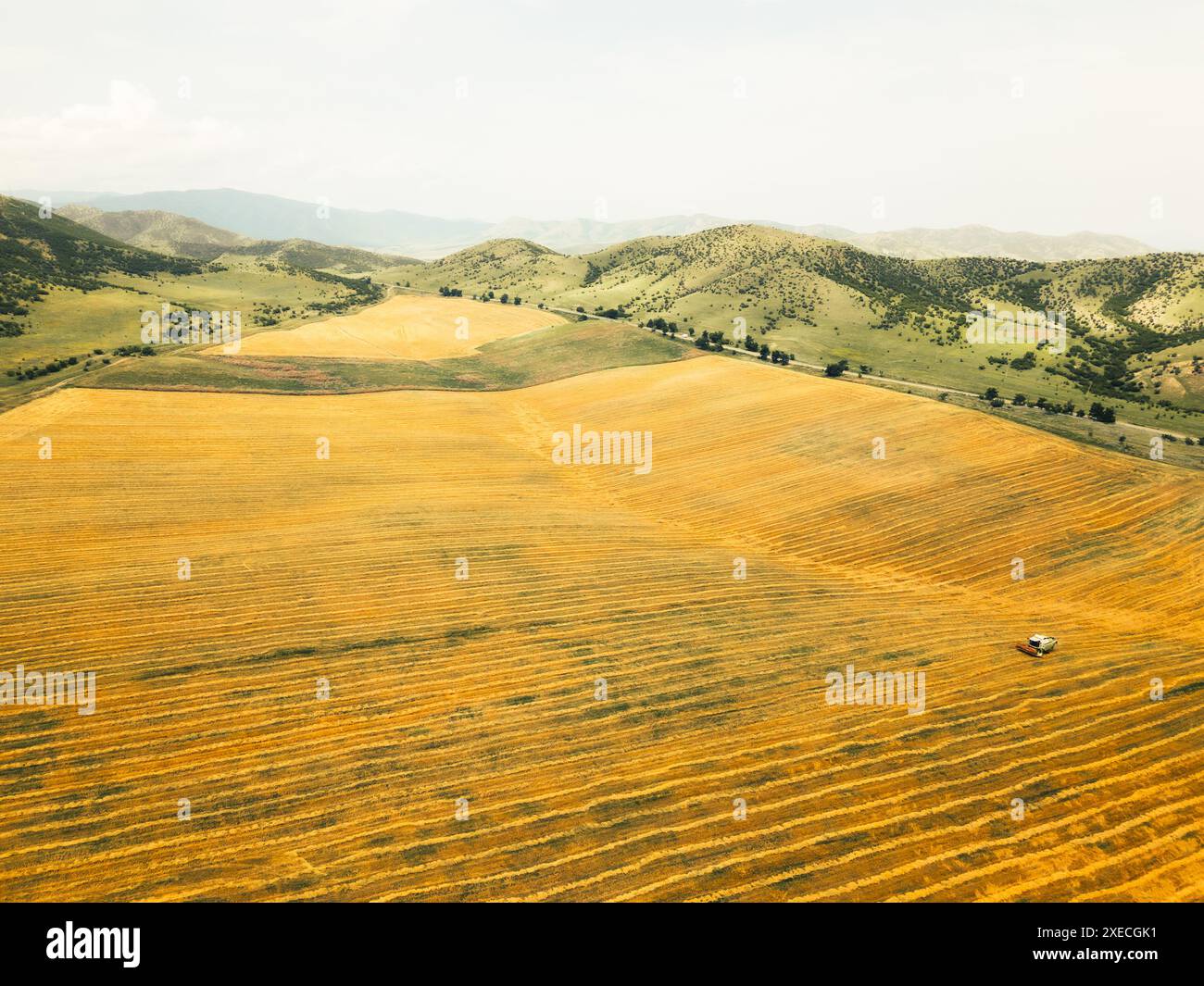 Vista laterale aerea primo piano una macchina per la raccolta coltiva il campo in estate nelle campagne della Georgia, montagne del caucaso. Villaggio di Shulaveri. Colture stagionali Foto Stock