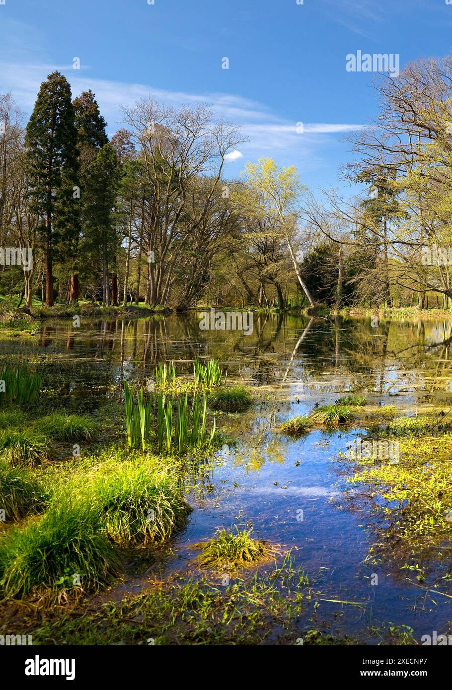 Castello di Paffendorf, parco del castello, Bergheim, basso Reno, Renania settentrionale-Vestfalia, Germania, Europa Foto Stock