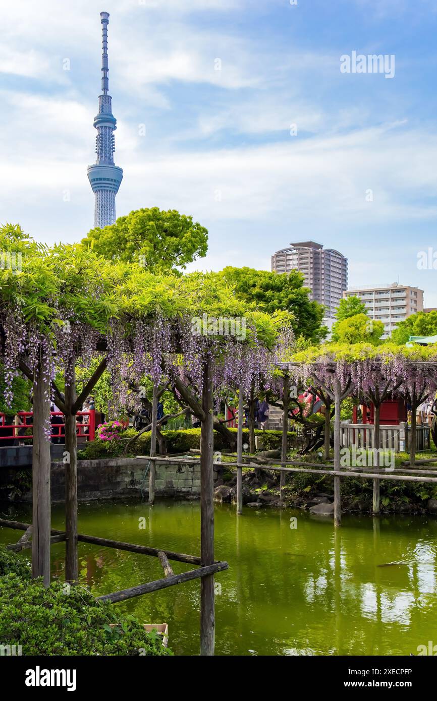 Piccolo ponte rosso Foto Stock