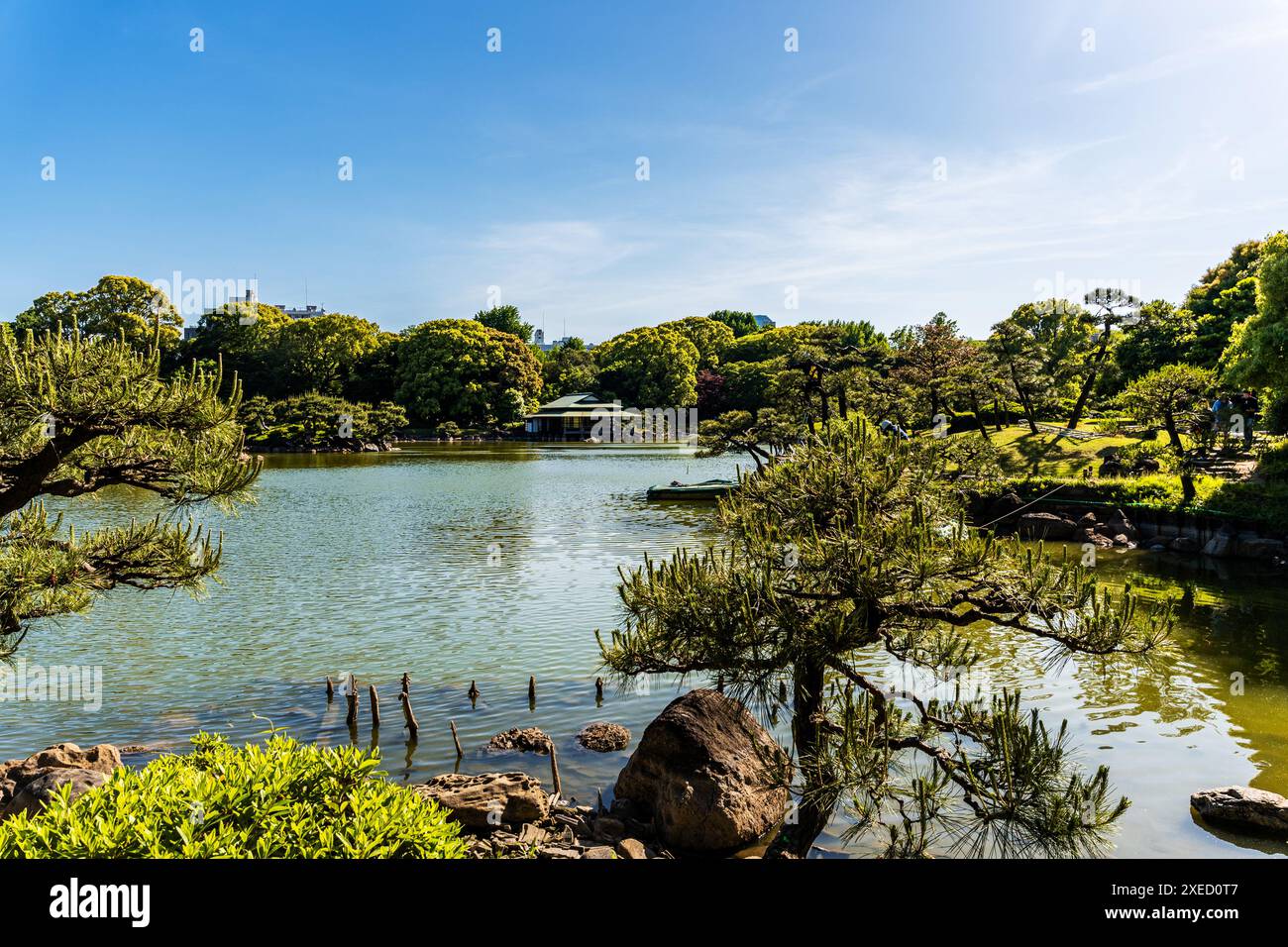 Kiyosumi Teien, un tradizionale giardino paesaggistico giapponese con uno stagno, costruito nel periodo Meiji, nel quartiere di Koto, Tokyo, Giappone Foto Stock