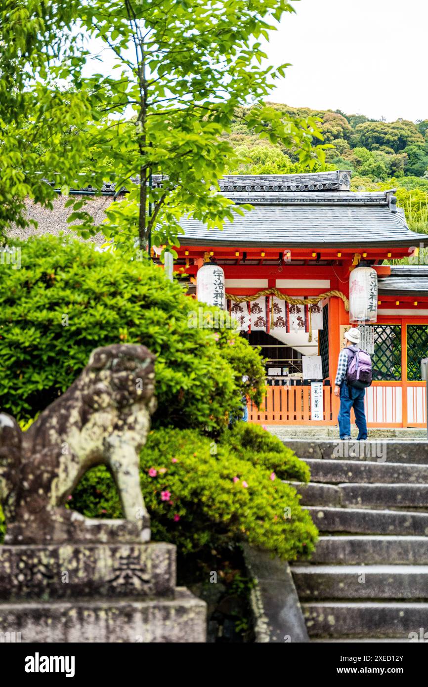 Uno scorcio della sala principale di Uji Jinja, con la statua di un Komainu all'ingresso e un turista, nella città di Uji, prefettura di Kyoto, Giappone. Foto Stock