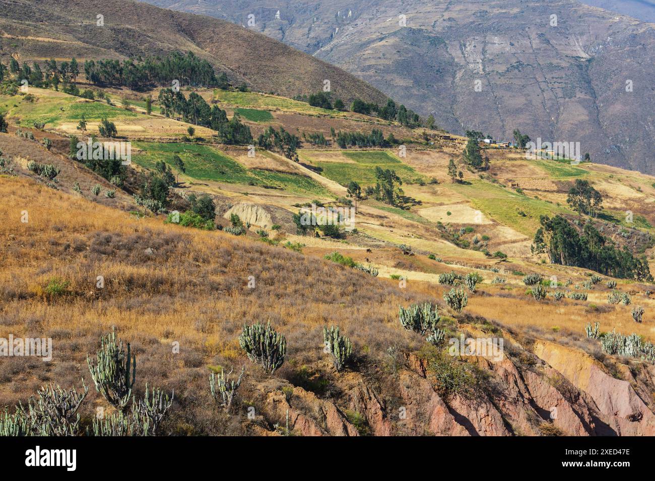 Paesaggi rurali in Perù Foto Stock