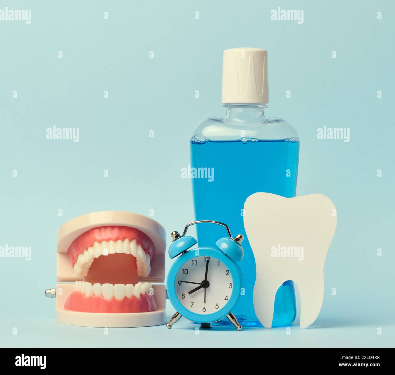 Modello mandibola umana, collutorio e sveglia su sfondo blu, igiene orale Foto Stock