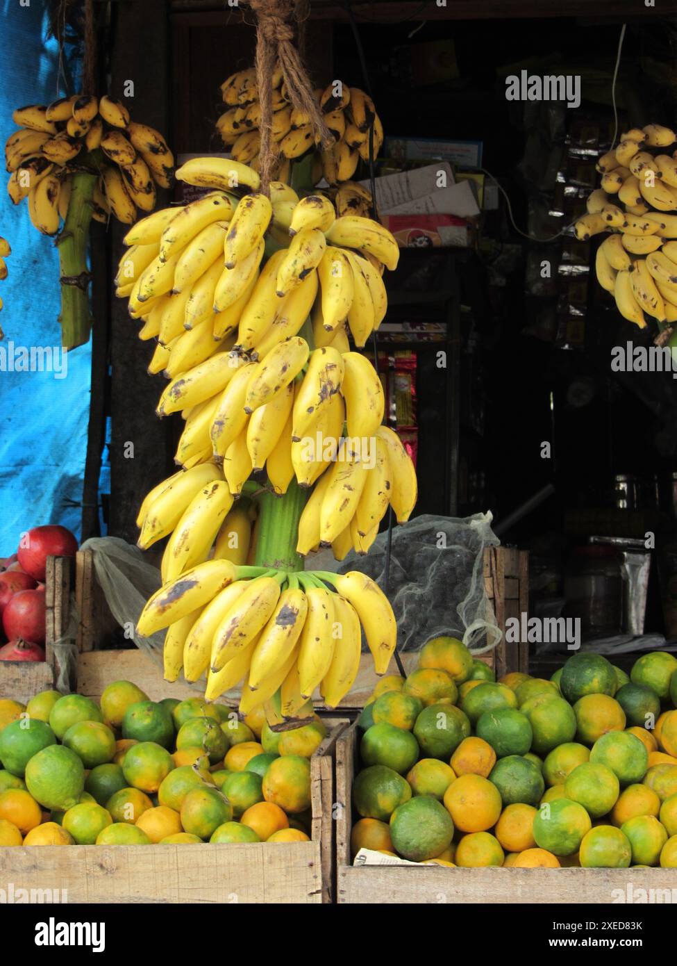 Frutta come pasto sano Foto Stock