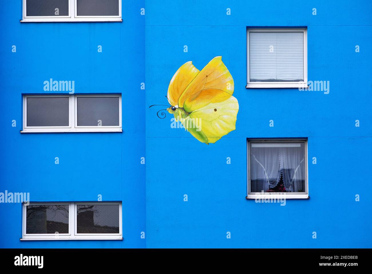 Casa di girasole, farfalla in pietra su una casa, artista Ulrich Allgaier, Wuppertal, Germania, Europa Foto Stock