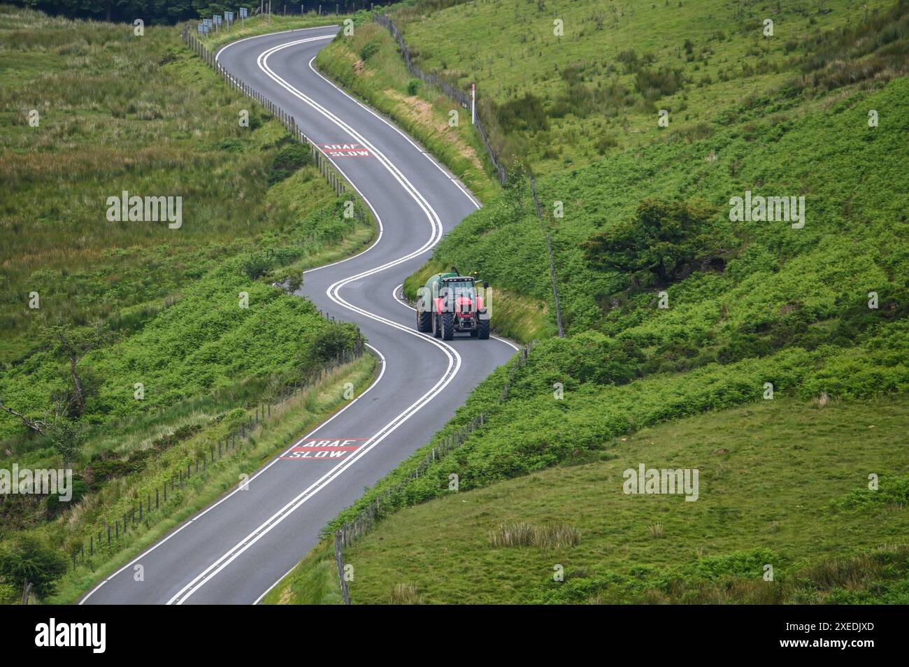 Trattore Massey Ferguson che tira una cisterna per liquami su una sezione curva della strada A487 nel Galles centrale Foto Stock