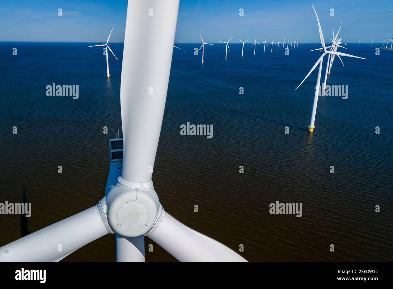 Parco eolico nell'oceano, con file di eleganti turbine eoliche alte nei Paesi Bassi Foto Stock