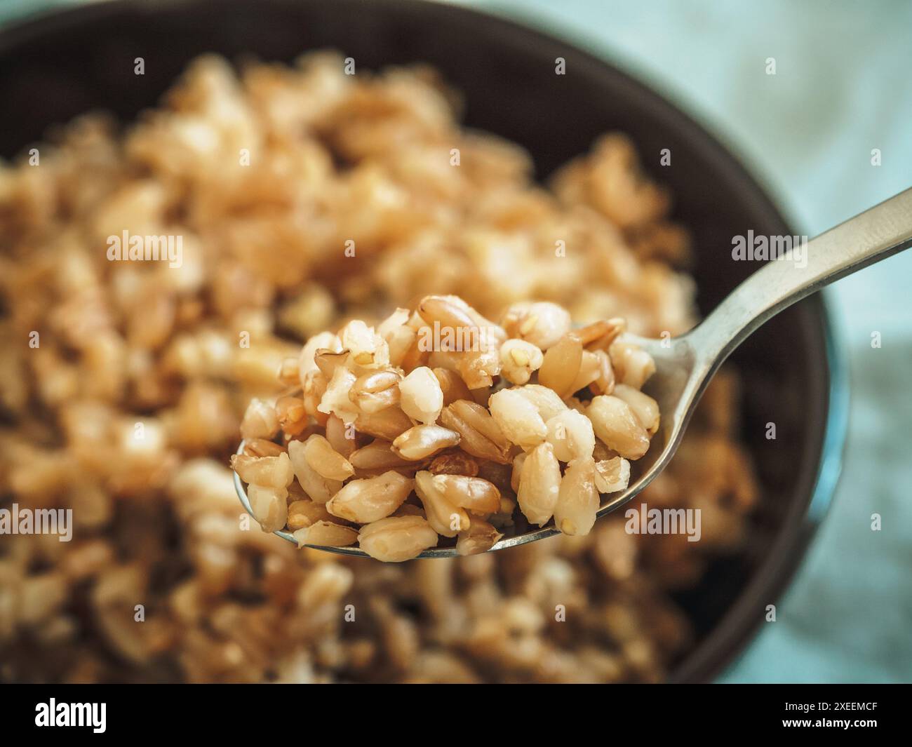 Farro bollito in cucchiaio, fuoco selettivo Foto Stock