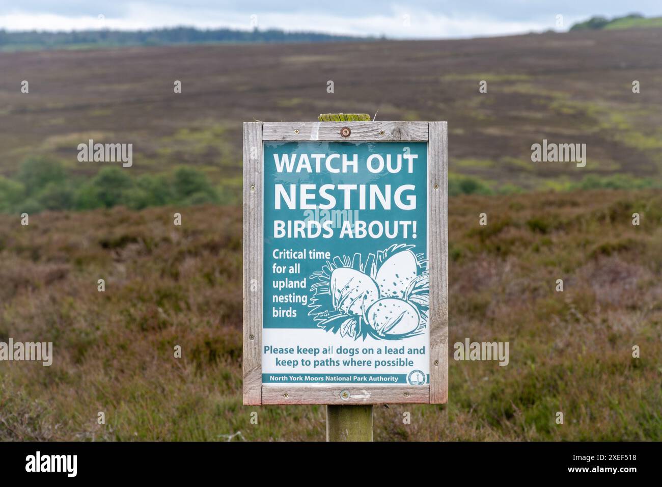 Il cartello degli uccelli nidificanti della North York Moors National Park Authority, che chiede alle persone di tenere i cani in testa e di tenersi sui sentieri, North Yorkshire, Inghilterra, Foto Stock