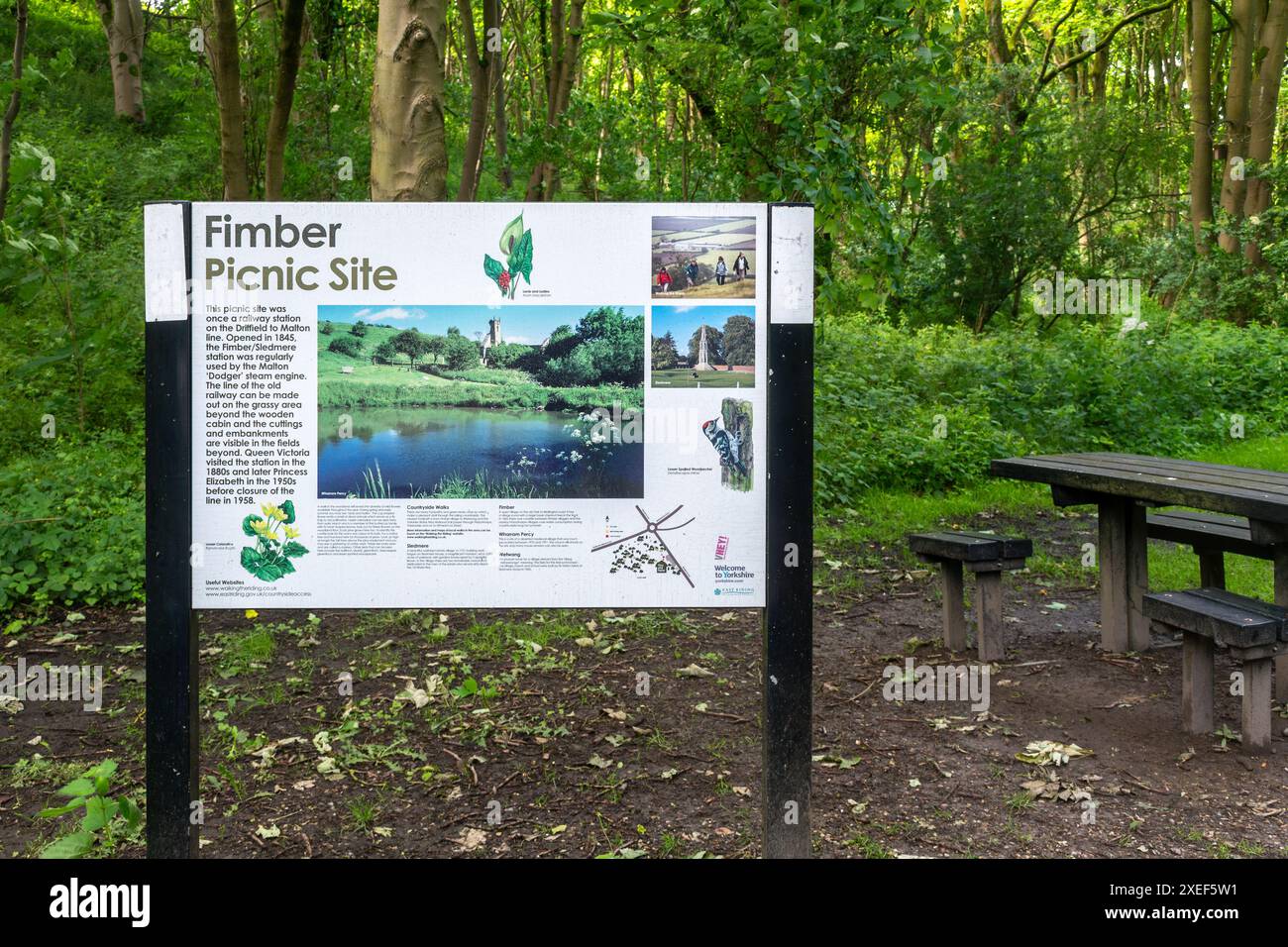 Fimber picnic Site and Information Board vicino a Driffield, East Riding of Yorkshire, Inghilterra, Regno Unito Foto Stock