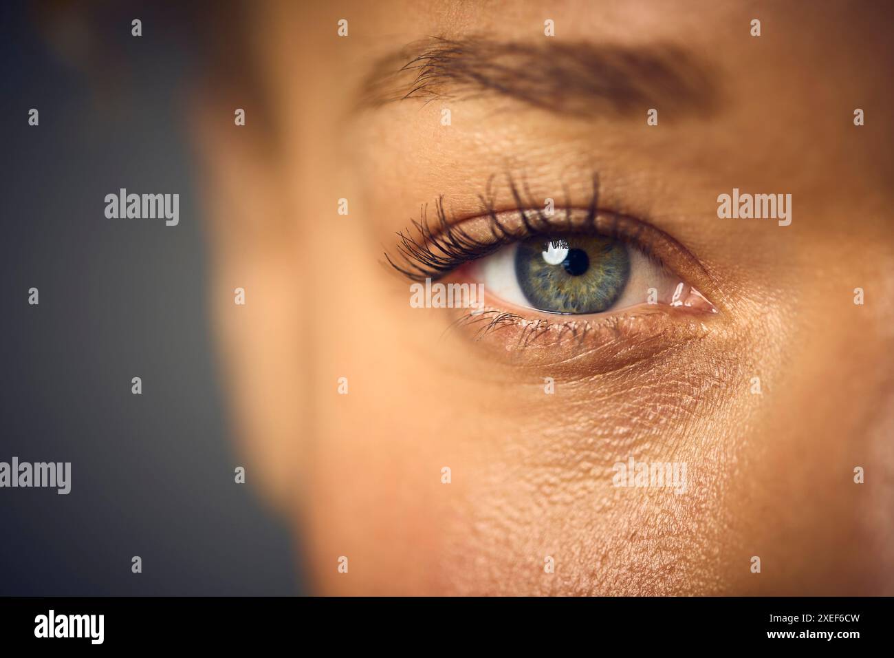 Macro Studio Shot of Woman's Eye con primo piano su ciglia e pupille Foto Stock