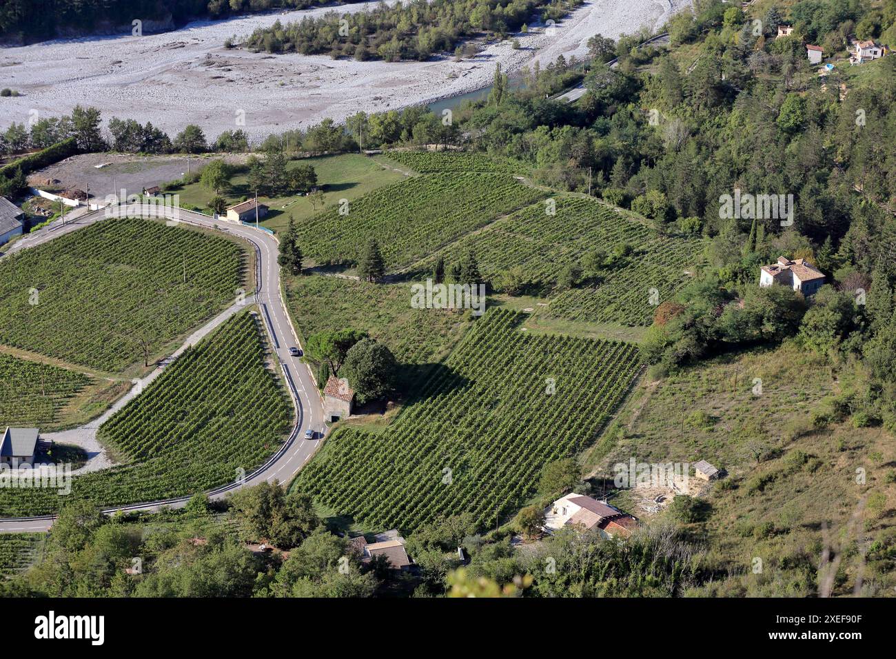 Vigneti di Villars sur Var, Alpes-Maritimes, PACA, Francia Europa Foto Stock