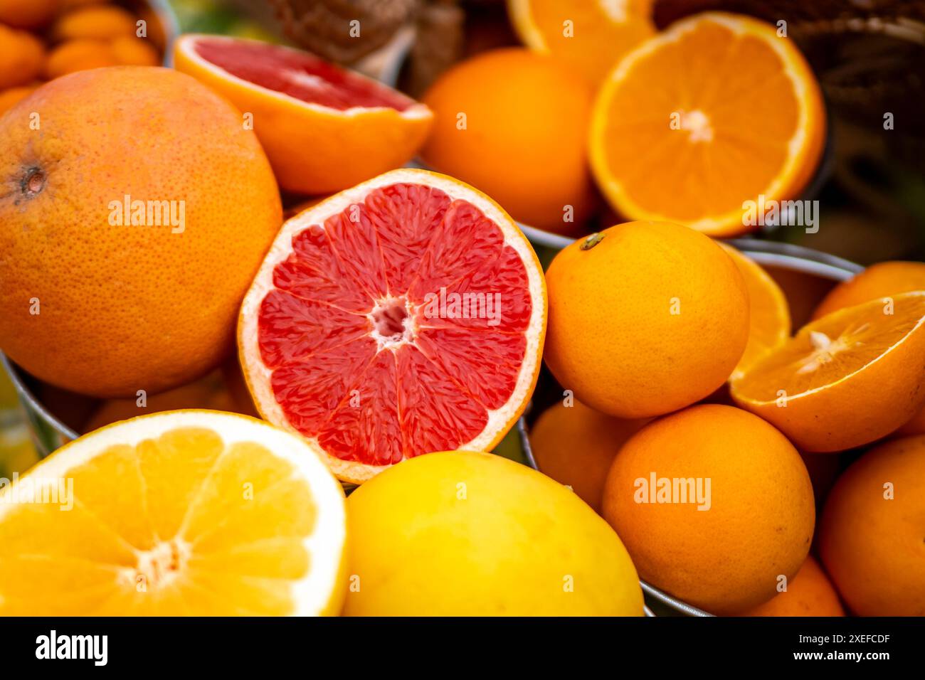 Delizioso assortimento di agrumi biologici, con arance, pompelmi, limoni, alcuni dei quali tagliati a metà per mostrare la loro succosità. Foto Stock