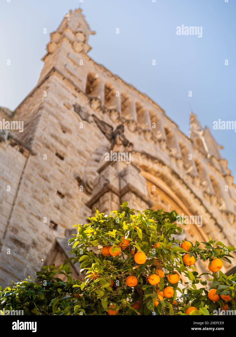 Il fascino di Sóller, caratterizzato dalla facciata della chiesa di Sant Bartomeu in una morbida prospettiva sfocata rispetto a Piazza della Costituzione, incorniciata da un lussureggiante albero di arancio. Foto Stock