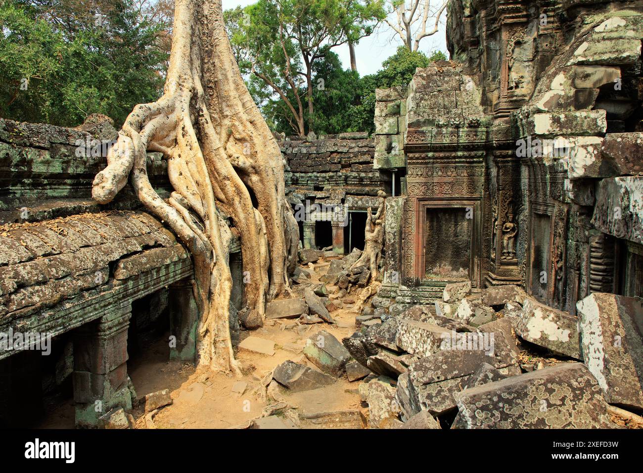 Ta Prohm Foto Stock