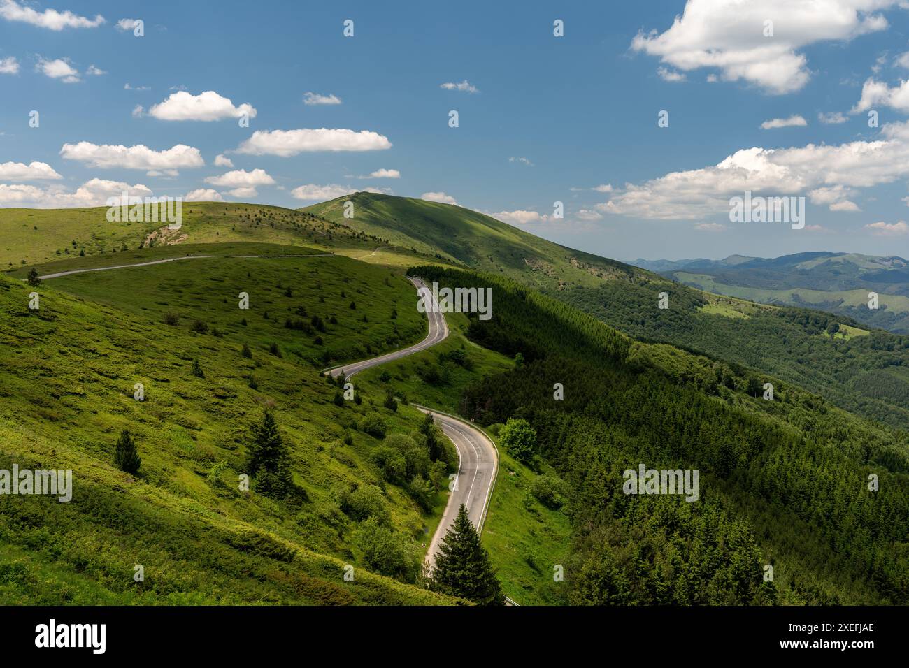 Vista panoramica di una tortuosa strada di montagna che passa attraverso un vibrante paesaggio verde sotto un cielo estivo Foto Stock