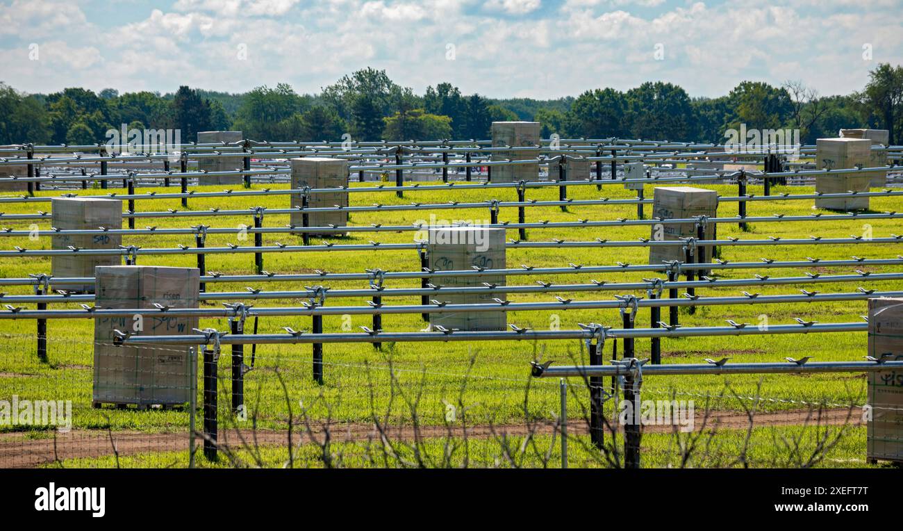 Albion, Michigan - costruzione di una fattoria solare da parte di AES Corporation. Scatole di pannelli solari della Risen Energy, un'azienda cinese, attendono l'installazione. Foto Stock