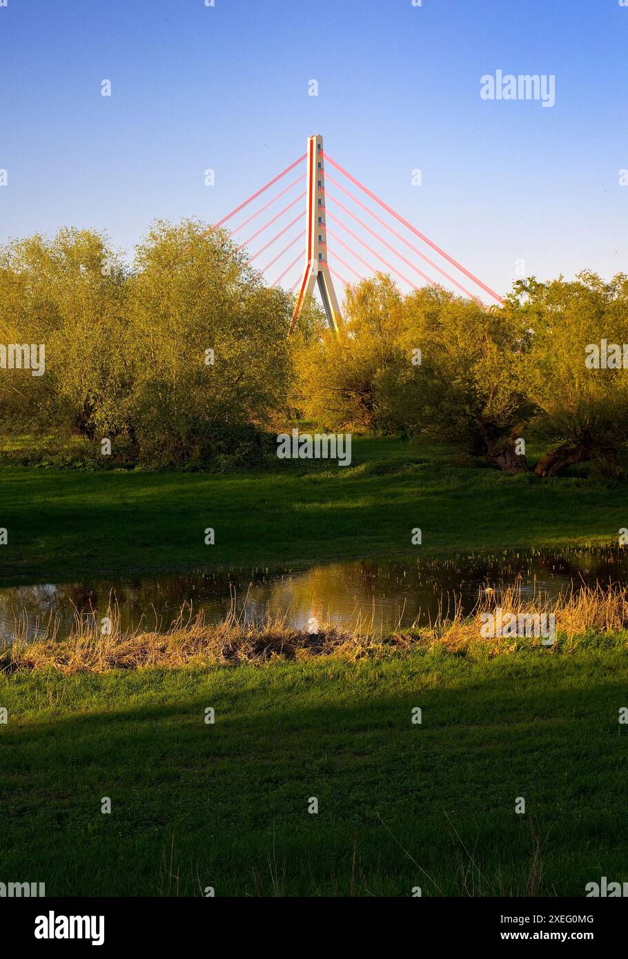 Fleher Bridge con la riserva naturale Uedesheimer Rheinaue, Neuss, basso Reno, Germania, Europa Foto Stock