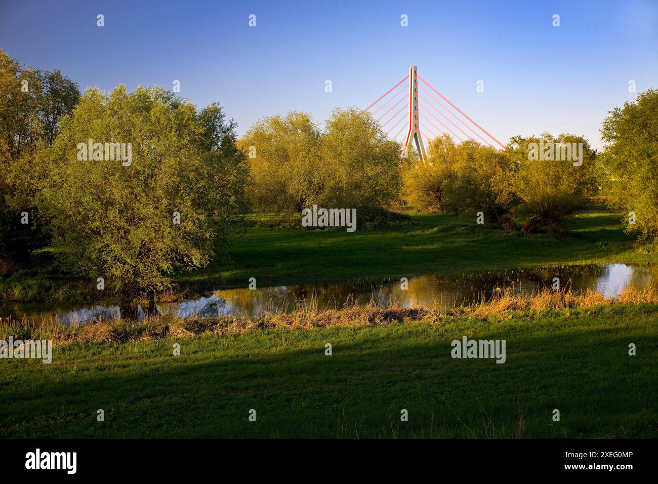 Fleher Bridge con la riserva naturale Uedesheimer Rheinaue, Neuss, basso Reno, Germania, Europa Foto Stock