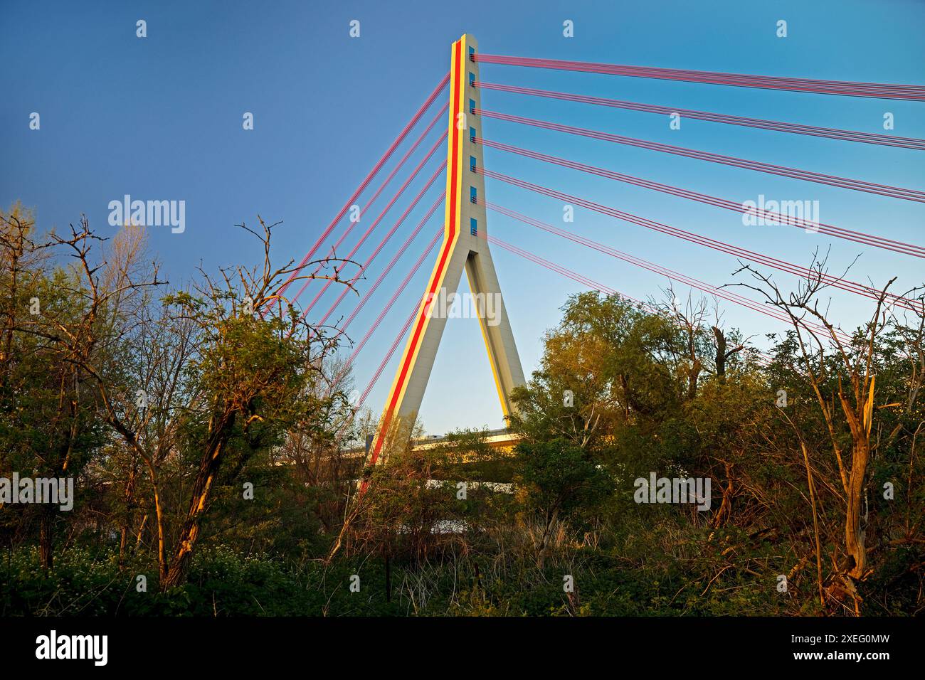 Fleher Bridge con la riserva naturale Uedesheimer Rheinaue, Neuss, basso Reno, Germania, Europa Foto Stock