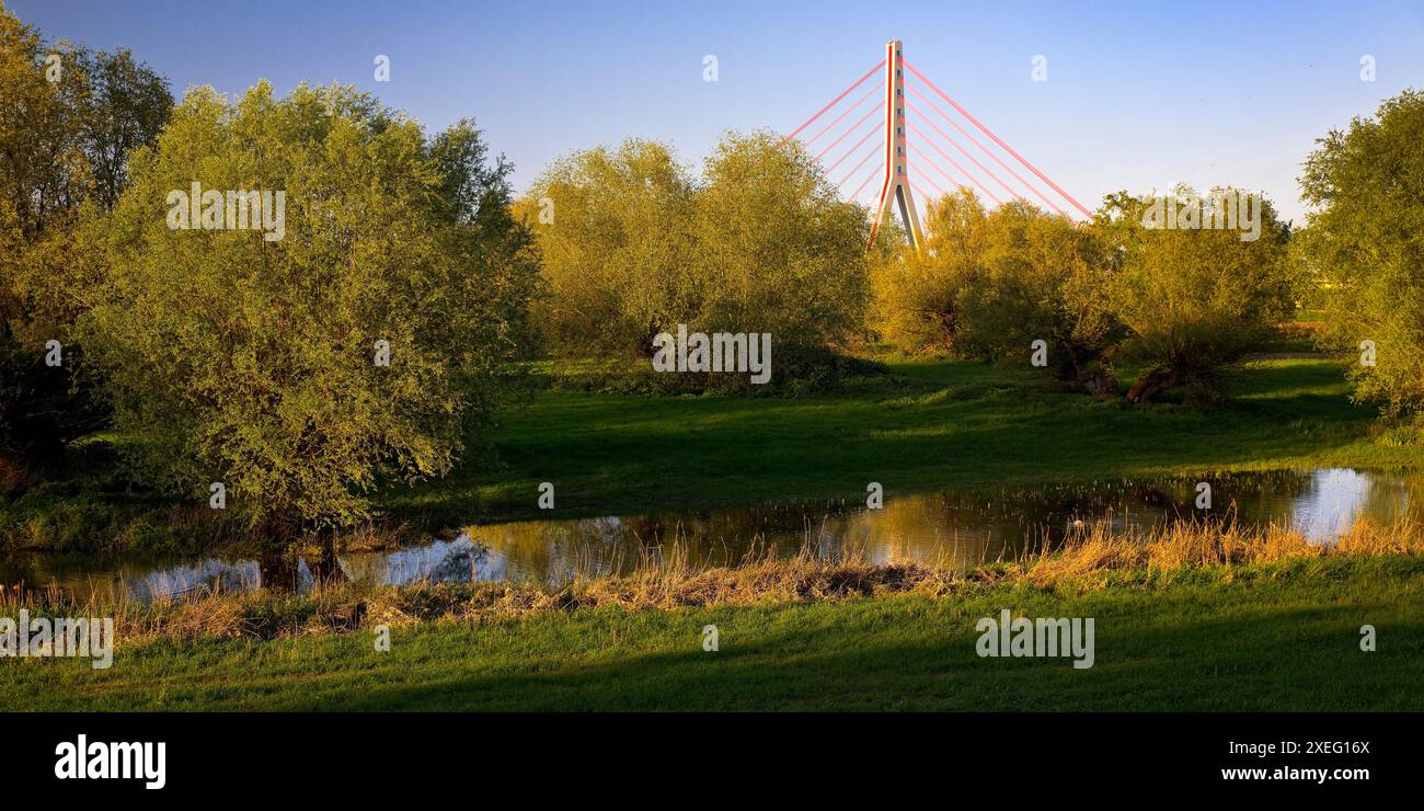 Fleher Bridge con la riserva naturale Uedesheimer Rheinaue, Neuss, basso Reno, Germania, Europa Foto Stock