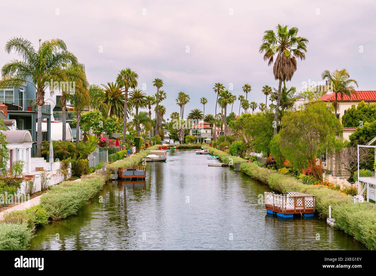 Pittoreschi e pittoreschi canali fiancheggiati da palme e case colorate a Venice, California Foto Stock