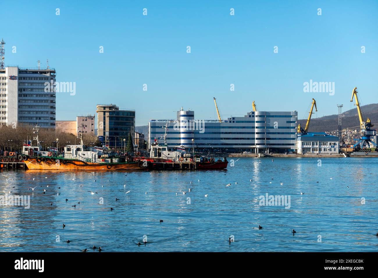 Novorossiysk, Russia 08.18.2023. Gru portuali, Mar Nero, porto, territorio di Krasnodar, Novorossiys Foto Stock