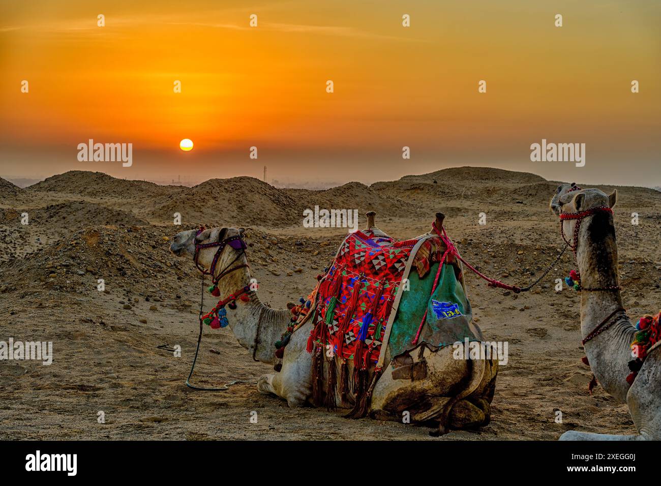 Il sole sorge sopra le dune sull'altopiano di Giza Foto Stock