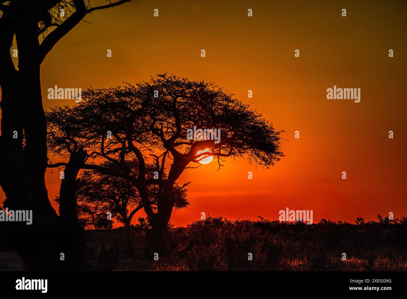 Tramonto africano Foto Stock