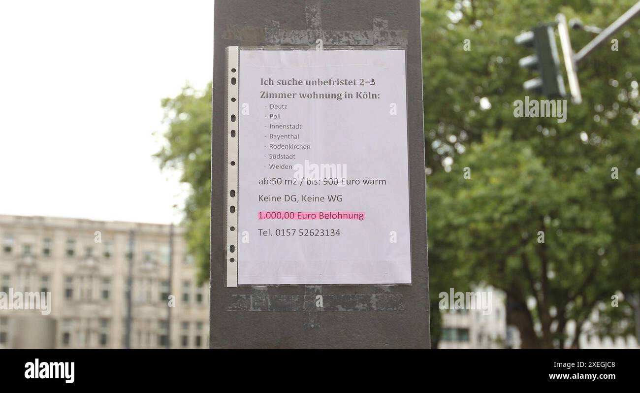 Auf einem Zettel, der an einen Pahl geklebt ist, steht ein Wohnungsgesuch. für die Vermittlung einer 2-3-Zimmerwohnung wird eine Belohnung von 1000 Euro ausgelobt. Köln Nordrhein-Westfalen *** Una nota posta su un palo pubblicizza un appartamento in affitto. Un premio di 1000 euro è offerto per trovare un appartamento di 2 3 camere Colonia Nord Reno Vestfalia Foto Stock